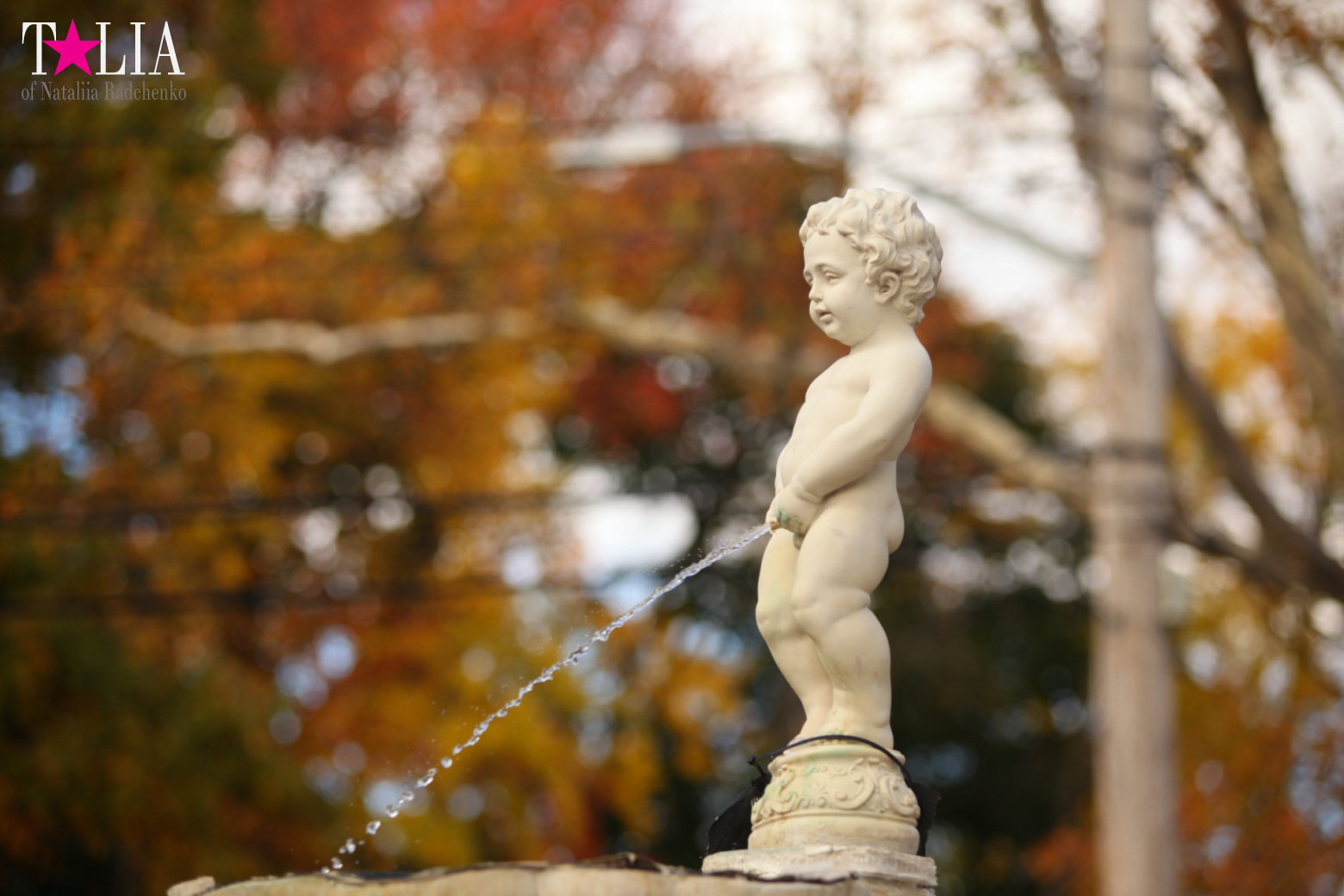 Fall of Bay Ridge in New York City